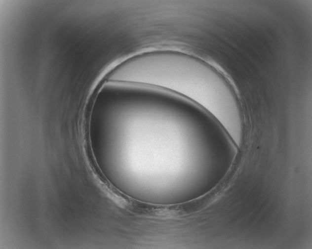 X0000079301085200611170823