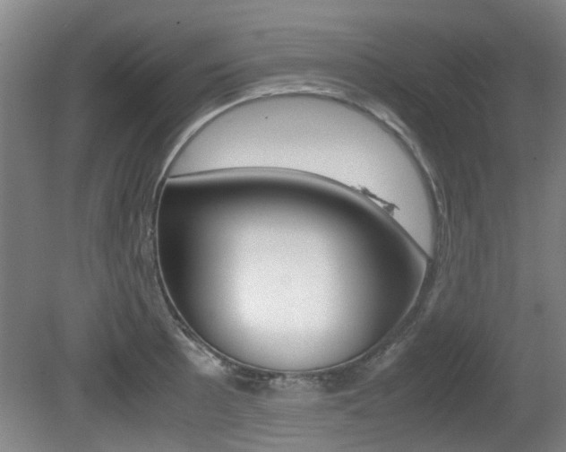 X0000079301089200611170823