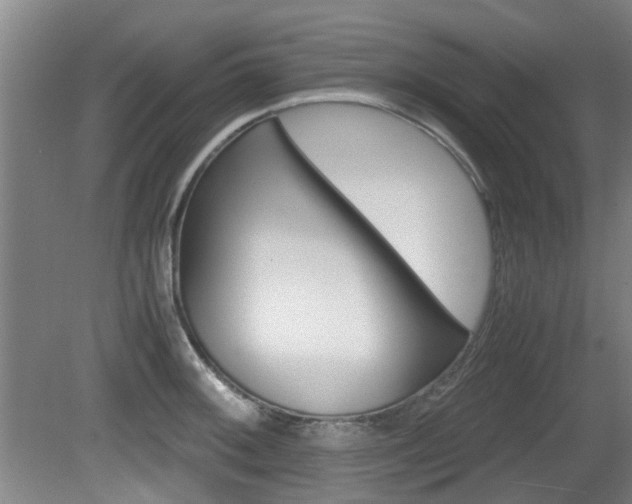 X0000079301092200611170822