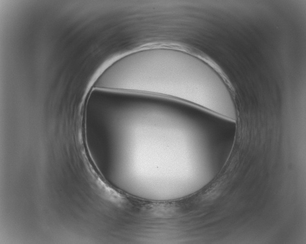 X0000079301102200611170822
