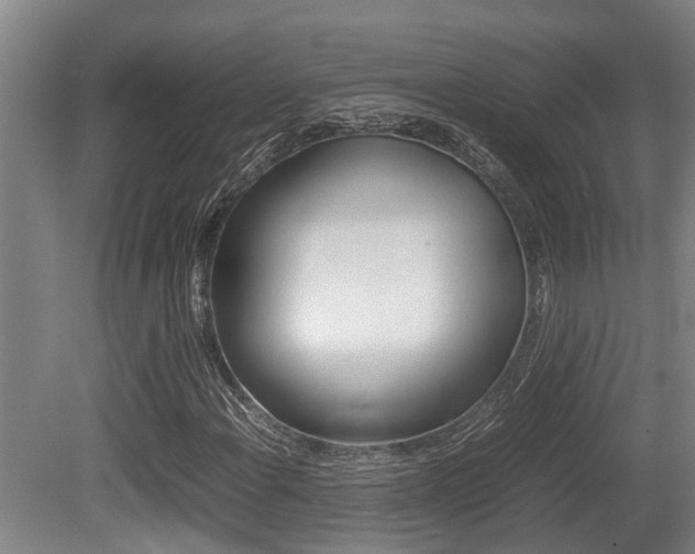 X0000079301108200611170822
