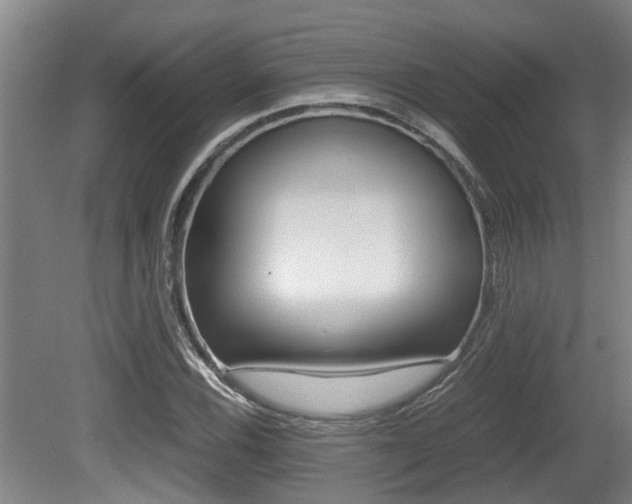 X0000079301116200611170822