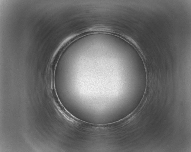 X0000079301123200611170822