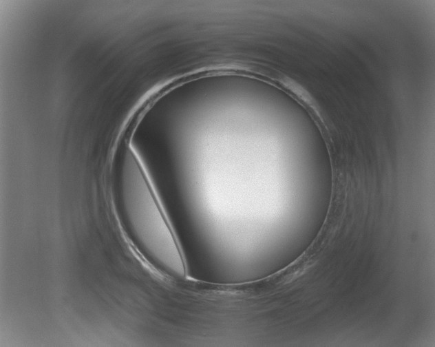 X0000079301127200611170822