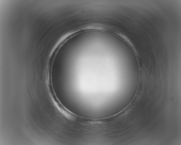 X0000079301131200611170822