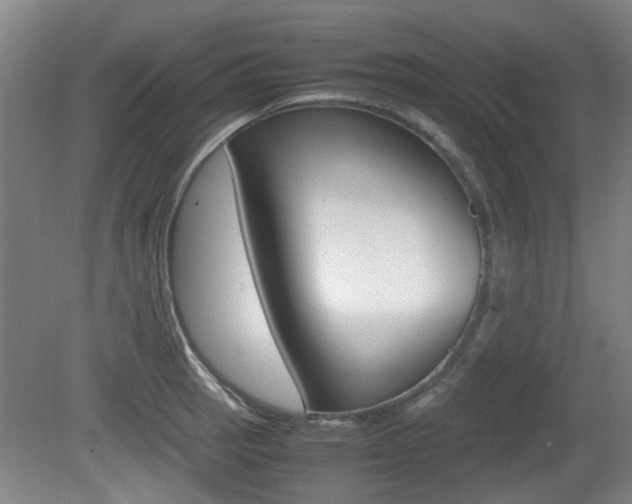 X0000079301137200611170822