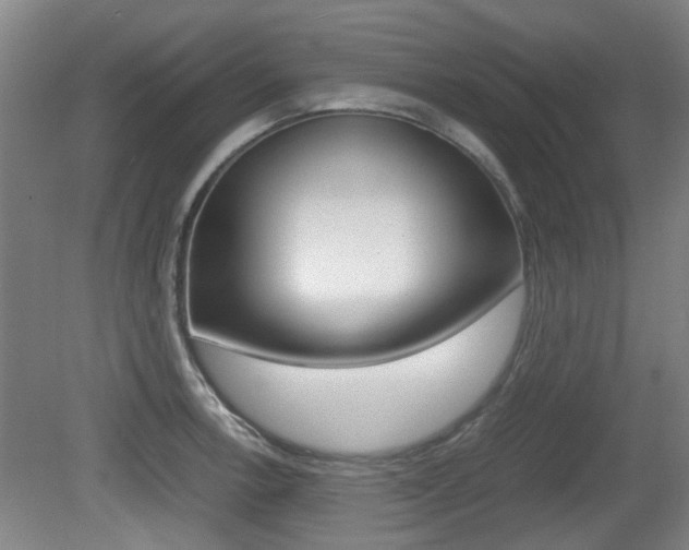 X0000079301138200611170822