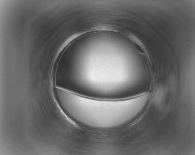 X0000079301141200611170822