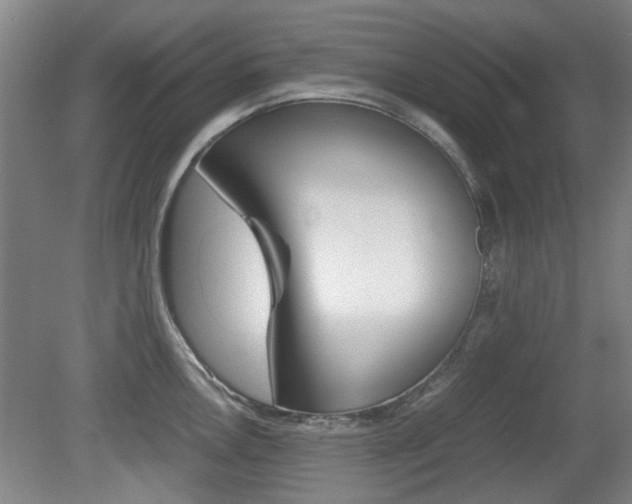 X0000079301146200611170822