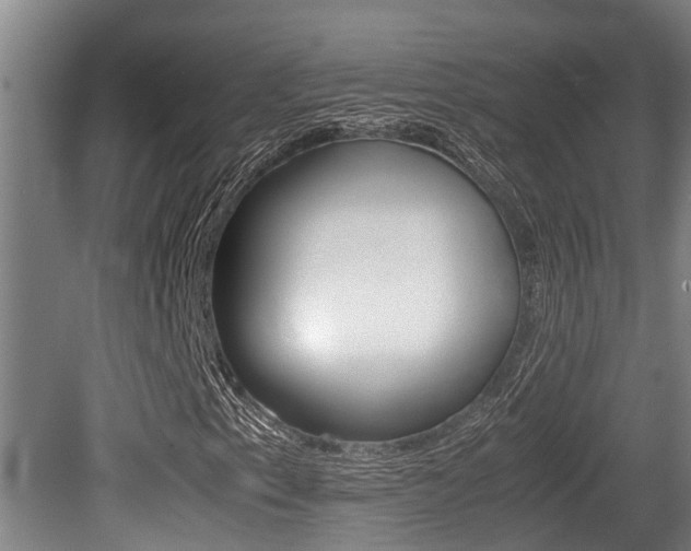 X0000079301153200611170821