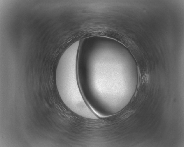 X0000079301156200611170821