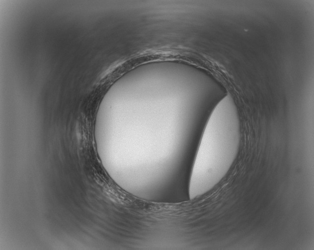 X0000079301158200611170821