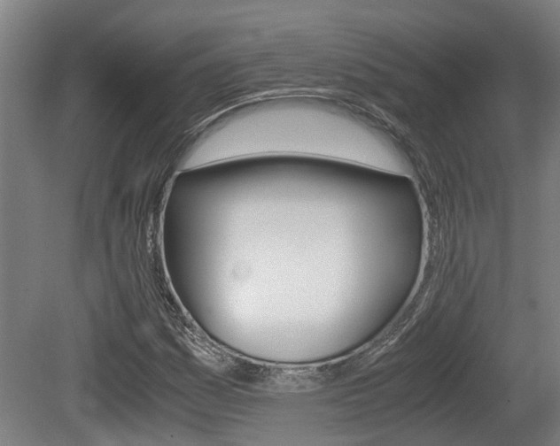X0000079301161200611170821