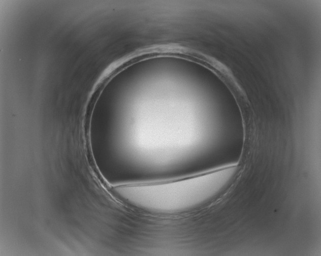 X0000079301176200611170821