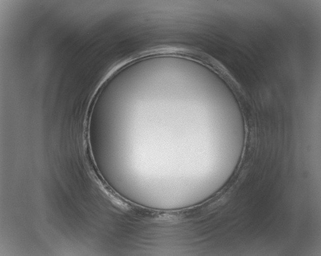 X0000079301178200611170821