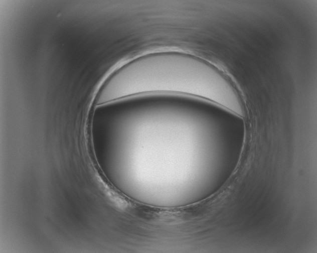 X0000079301181200611170821