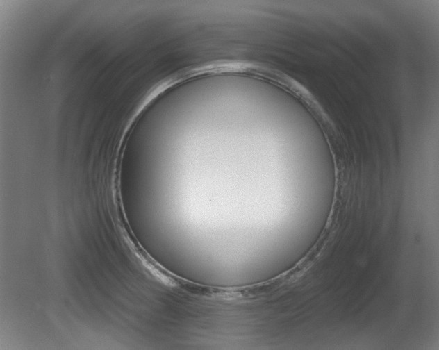 X0000079301186200611170821