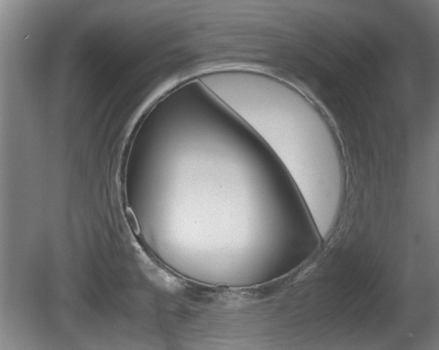 X0000079301189200611170821