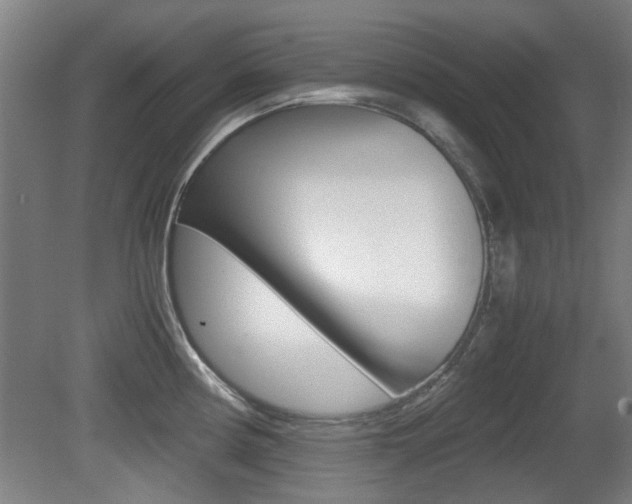 X0000079301194200611170821