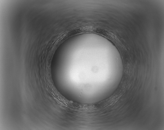 X0000079301201200611170820