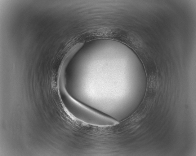 X0000079301202200611170820