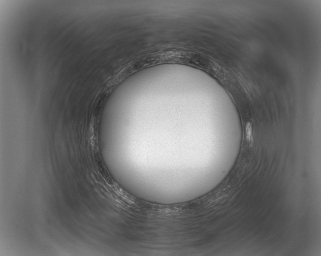 X0000079301203200611170820