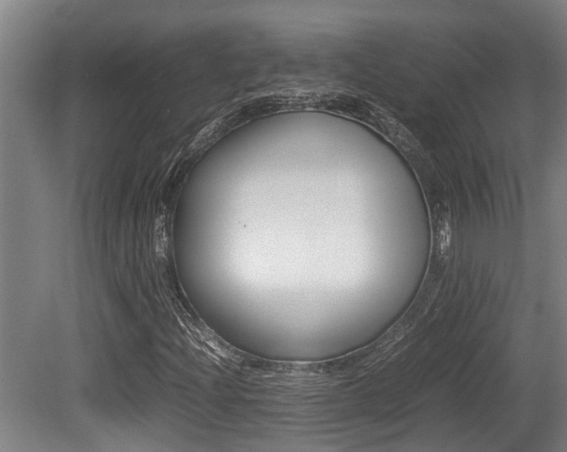 X0000079301204200611170820