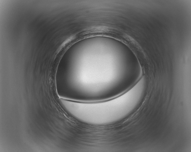 X0000079301210200611170820