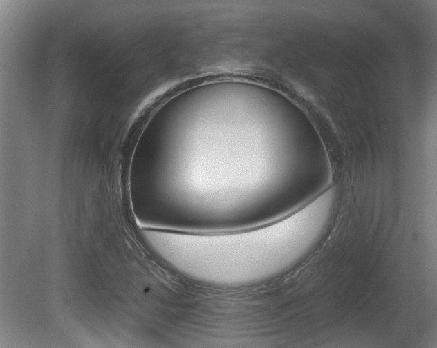 X0000079301214200611170820