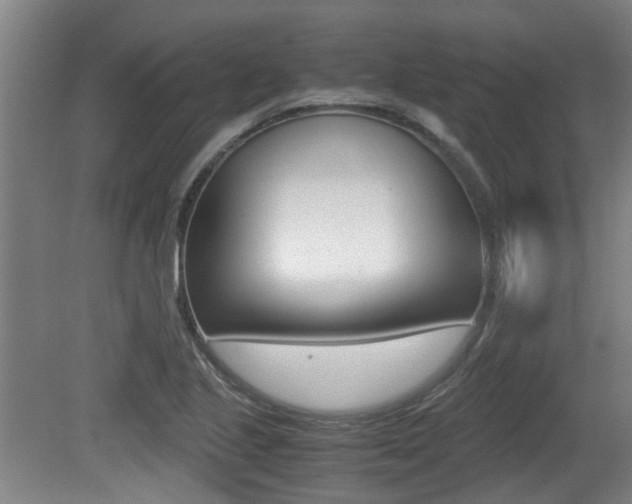 X0000079301221200611170820