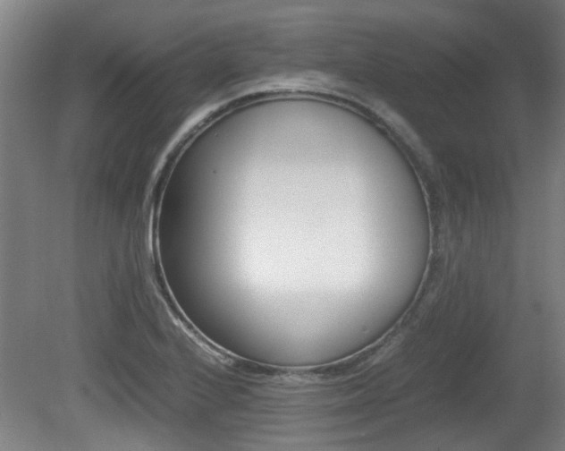 X0000079301224200611170820