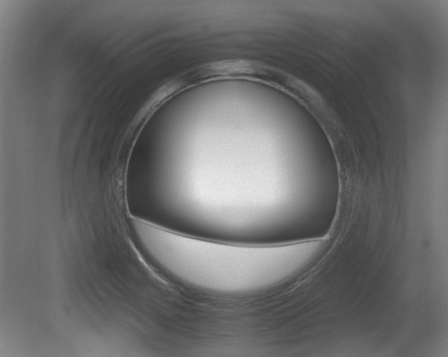 X0000079301225200611170820