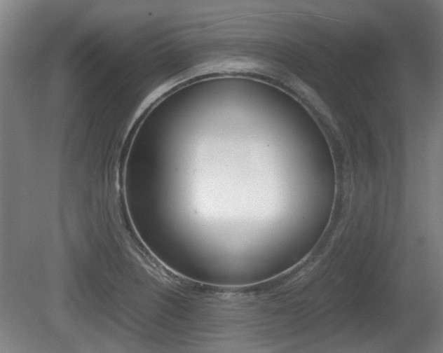 X0000079301226200611170820