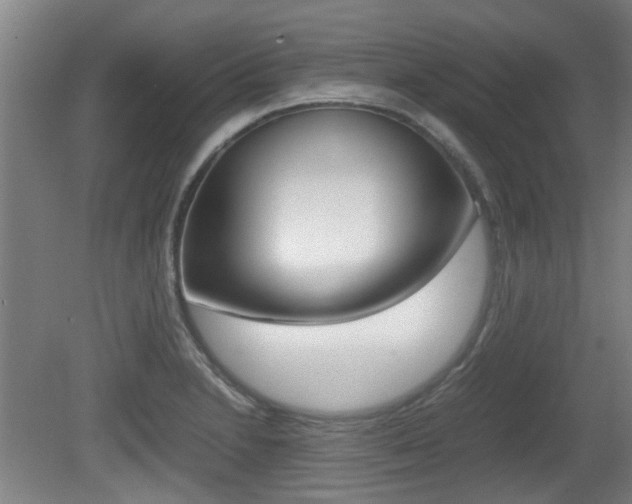 X0000079301230200611170820