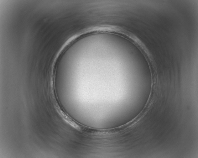X0000079301232200611170820