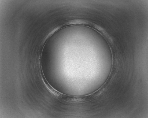 X0000079301233200611170820