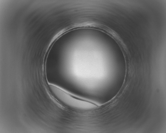 X0000079301234200611170820