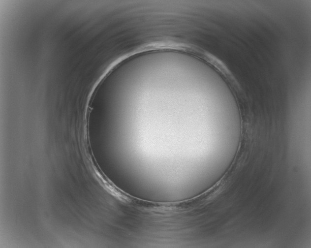 X0000079301236200611170820