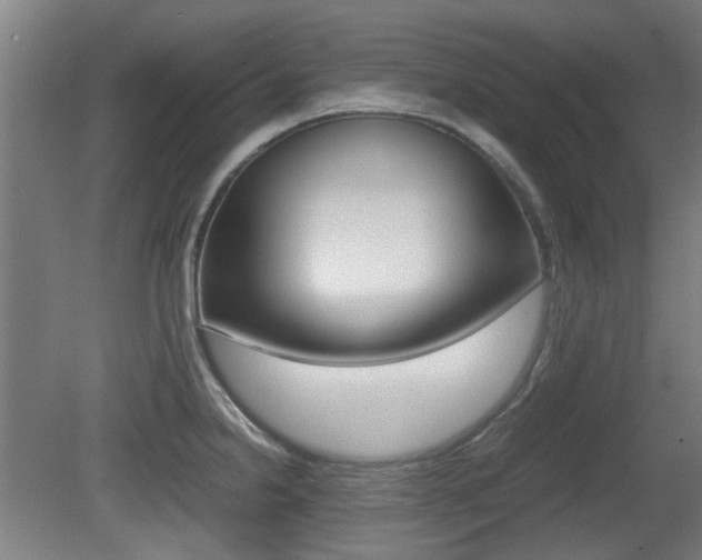 X0000079301238200611170820