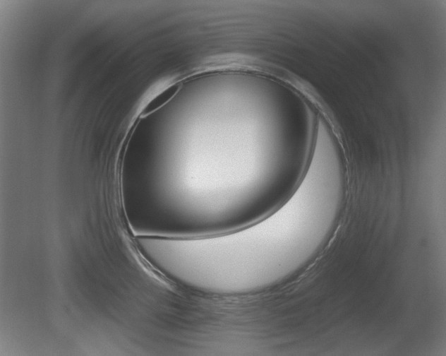 X0000079301242200611170821