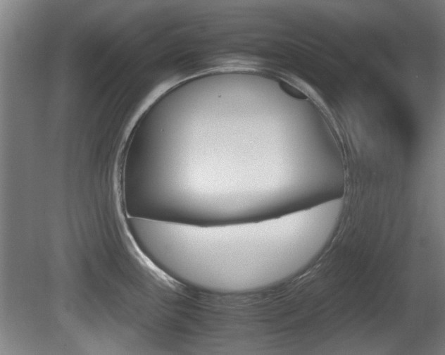 X0000079301243200611170821