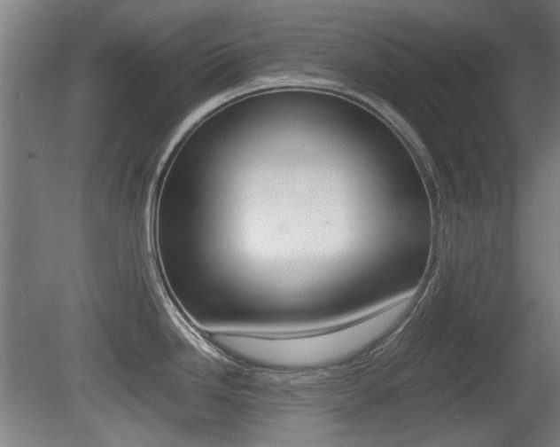 X0000079301246200611170821