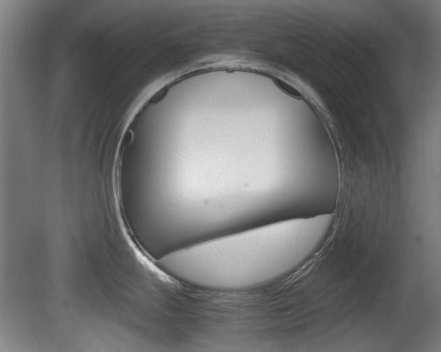 X0000079301247200611170821