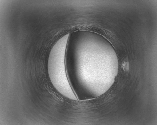 X0000079301252200611170820