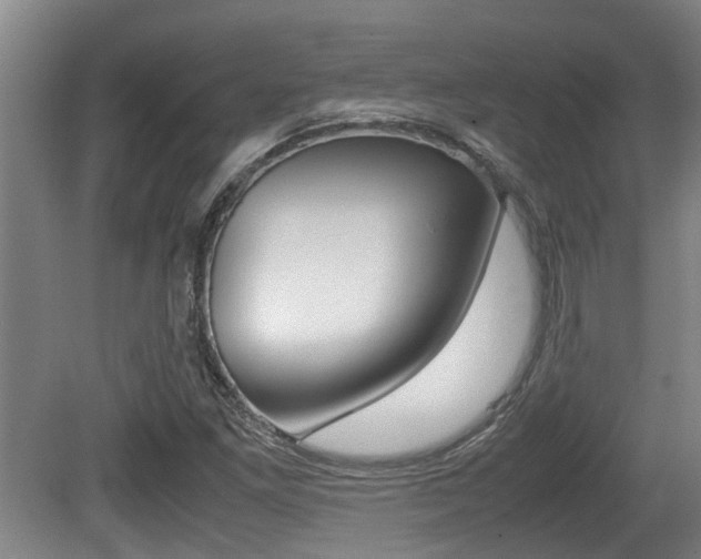 X0000079301261200611170820