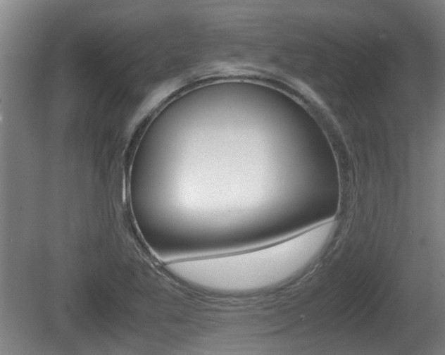 X0000079301269200611170819