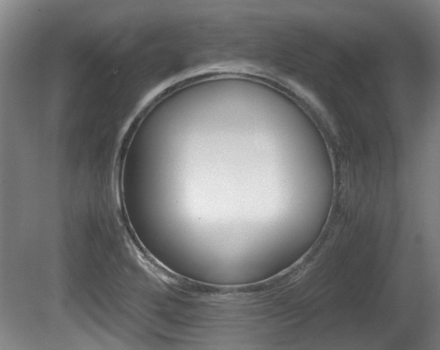 X0000079301272200611170819