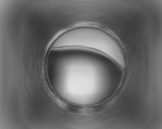 X0000079301277200611170819