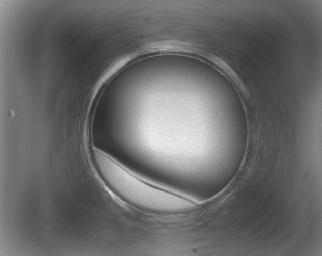 X0000079301285200611170819