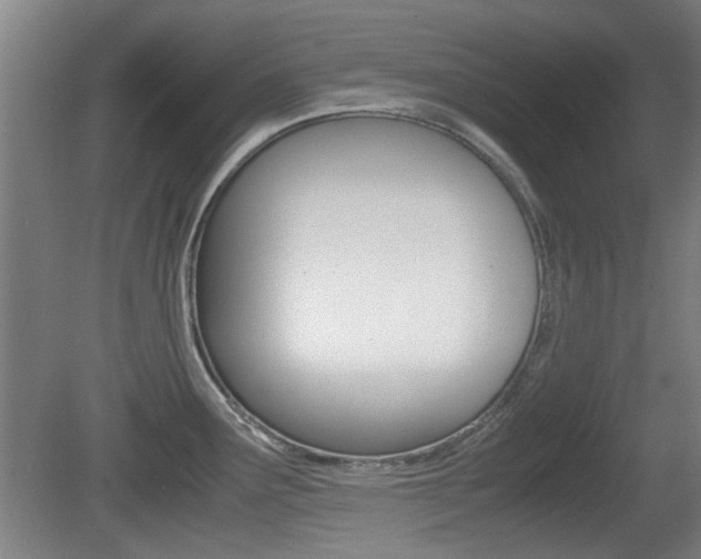 X0000079301291200611170819